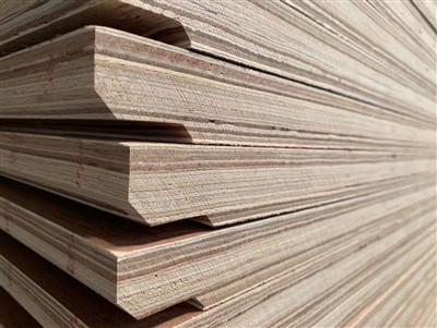 Contreplaqué de plancher de conteneur de 28 mm